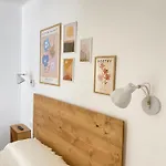 Hotel Rural Casa Fina - Adults Recommended