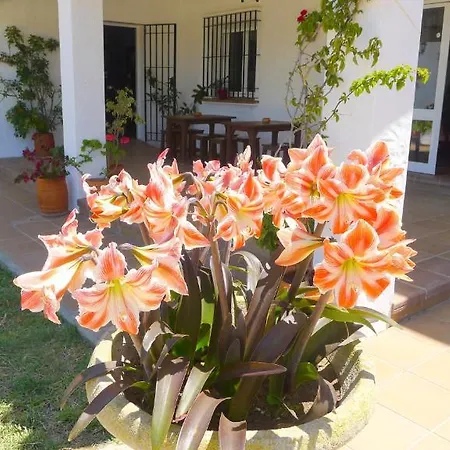 Casa Fina - Adults Recommended Hotel